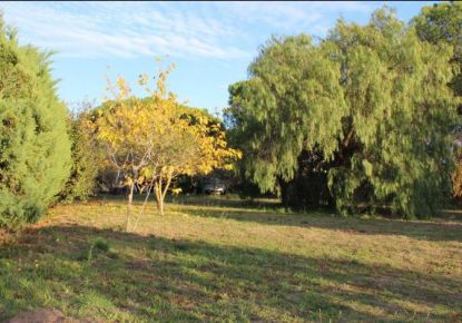 vente Terrain Marseillan