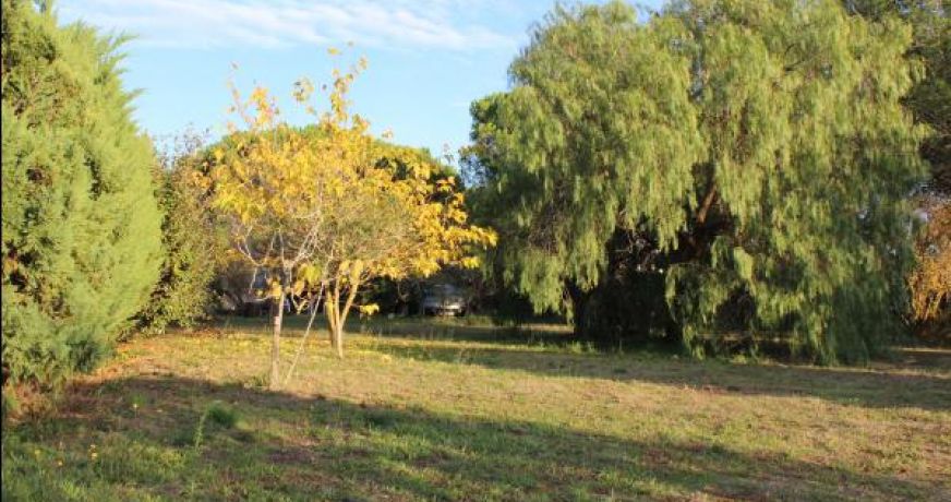 vente Terrain Marseillan