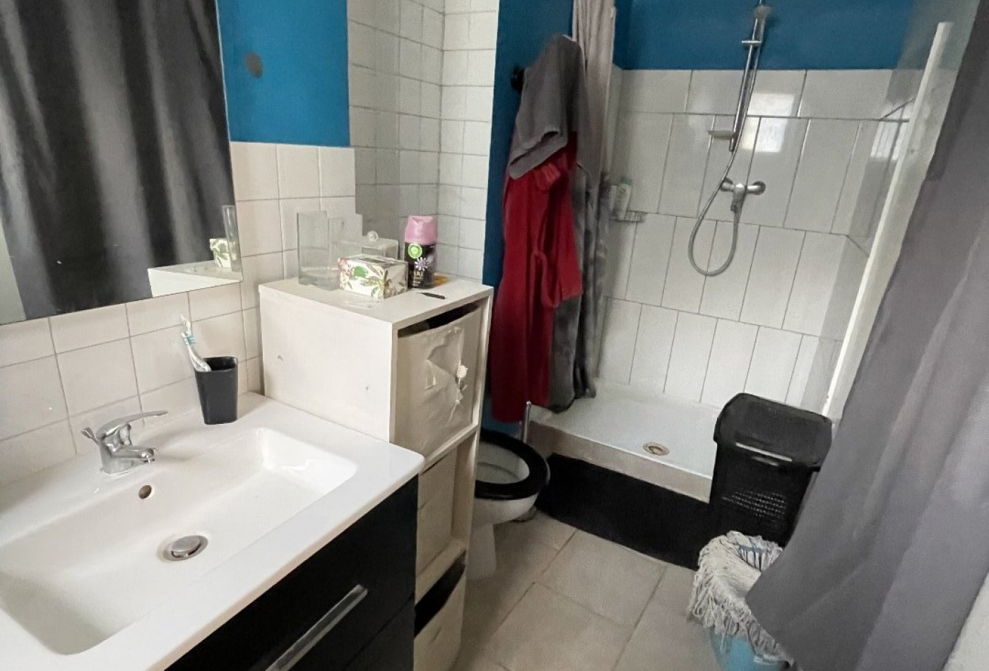 vente Ensemble immobilier Saint Martin Du Mont - Photo 5