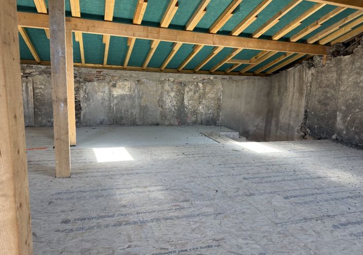 à vendre Appartement à rénover Lagnieu