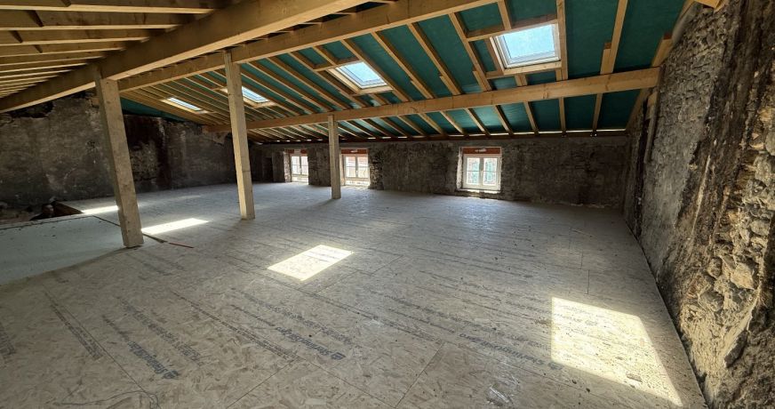 vente Appartement à rénover Lagnieu