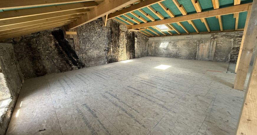 vente Appartement à rénover Lagnieu