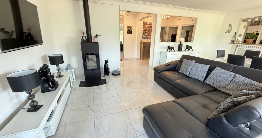 vente Villa Amancy