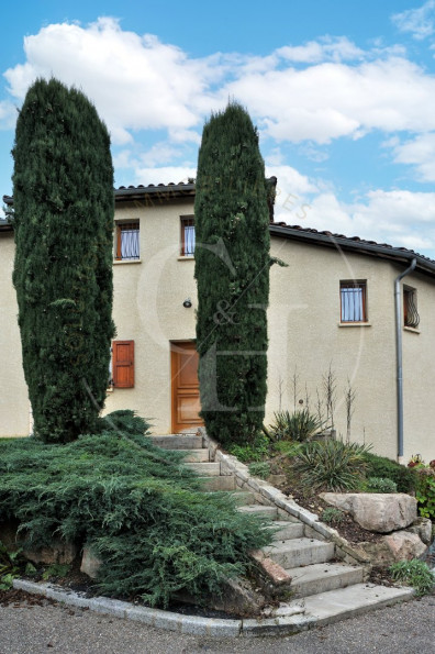 vente Maison Diemoz - Photo 3