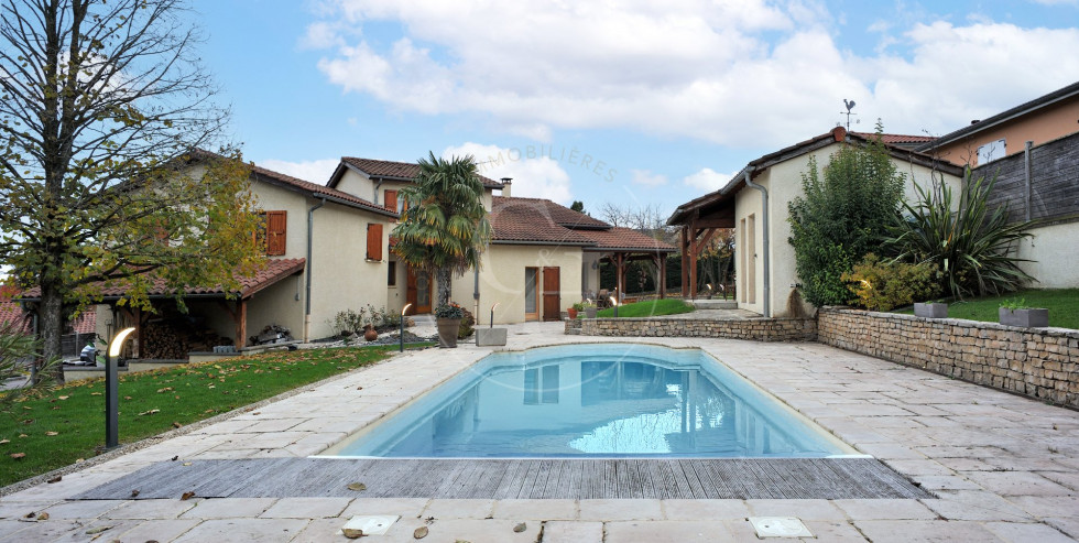 vente Maison Diemoz - Photo 1