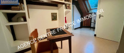 vente Maison Plaimpied Givaudins