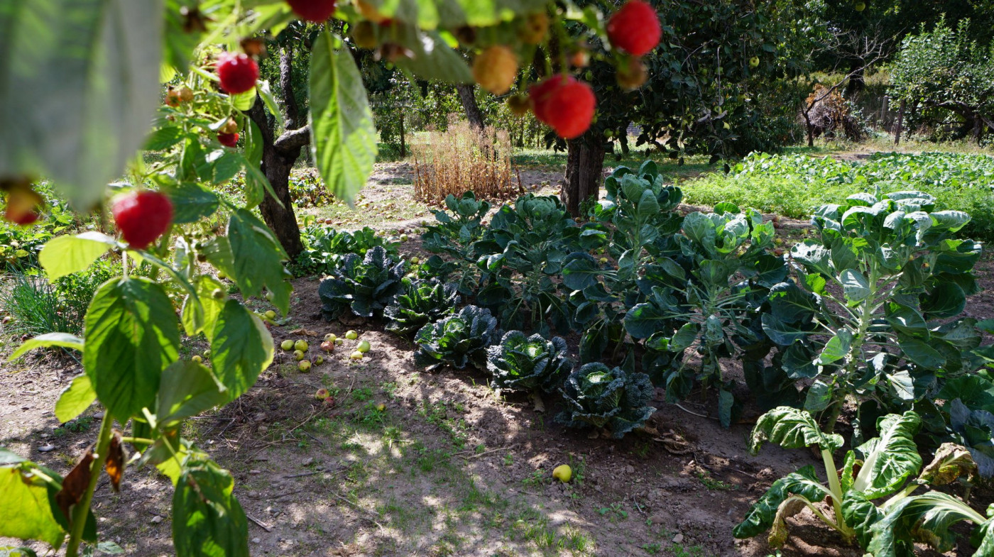 vente Terrain constructible Creuzier Le Vieux - Photo 9