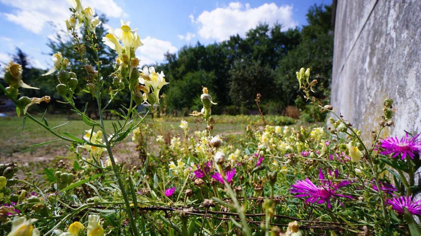 vente Terrain constructible Creuzier Le Vieux - Photo 3