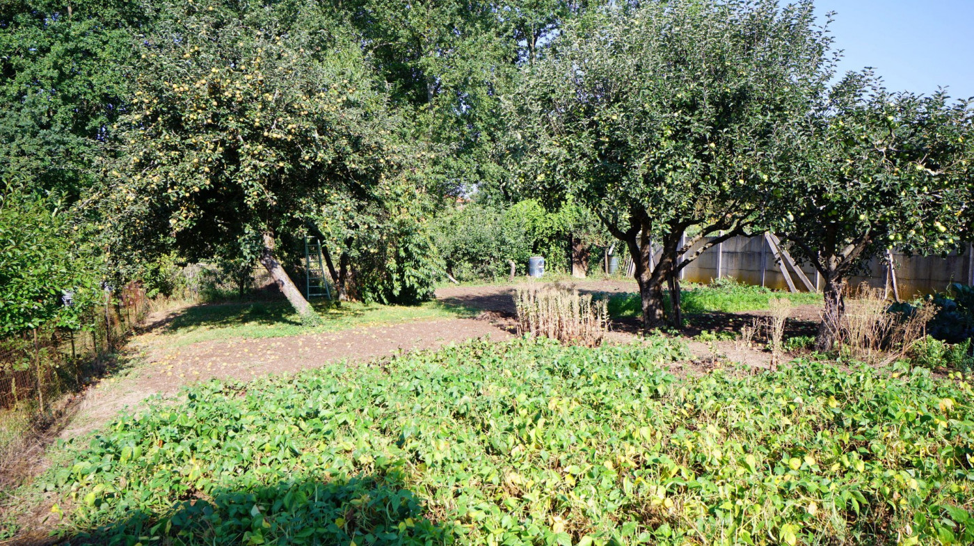 vente Terrain constructible Creuzier Le Vieux - Photo 6