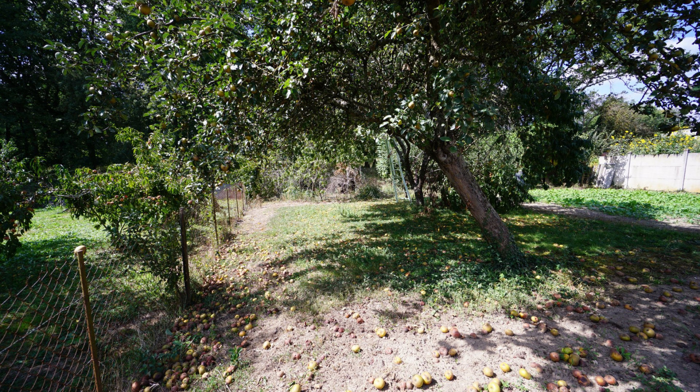 vente Terrain constructible Creuzier Le Vieux - Photo 5