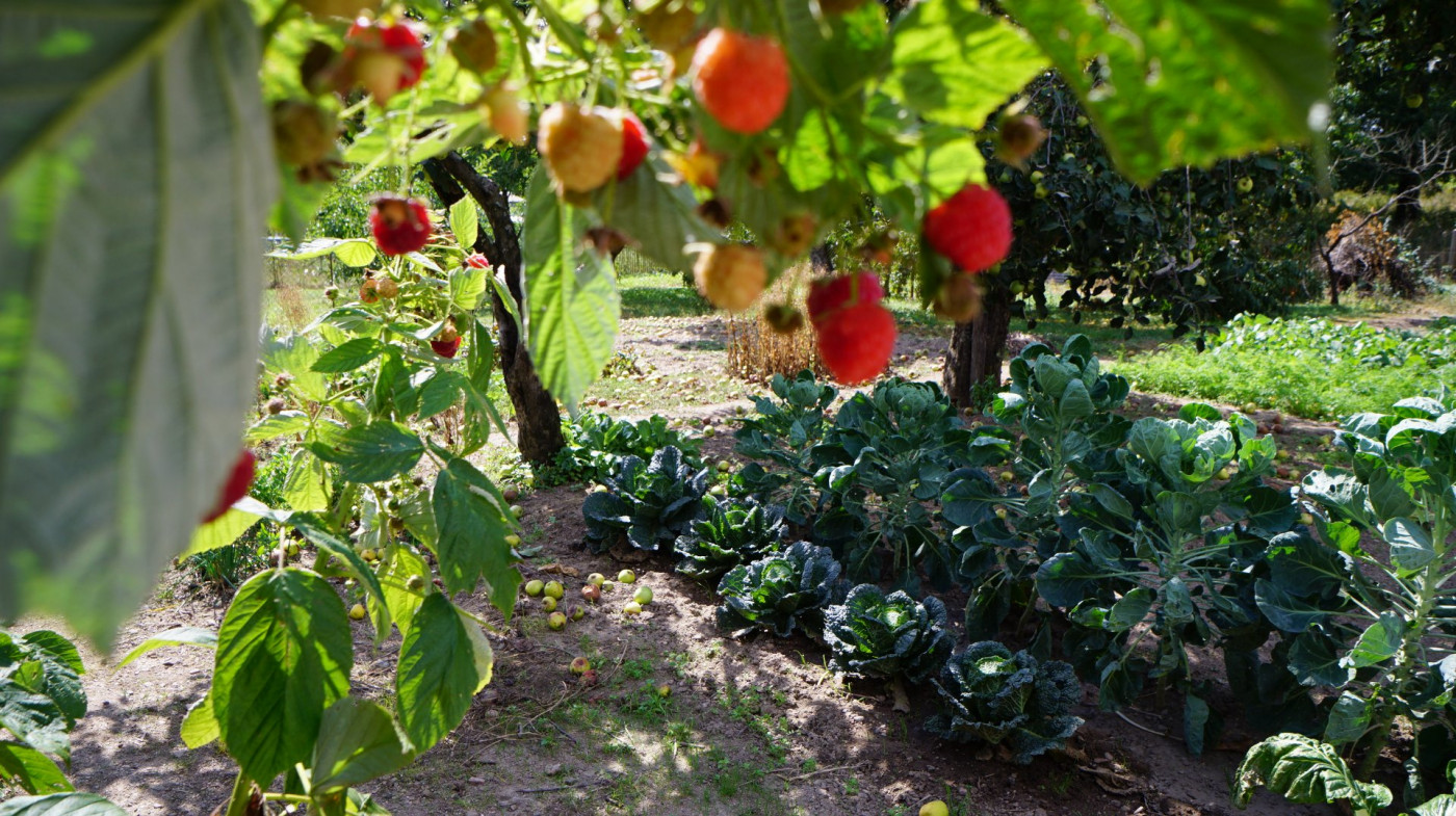 vente Terrain constructible Creuzier Le Vieux - Photo 4