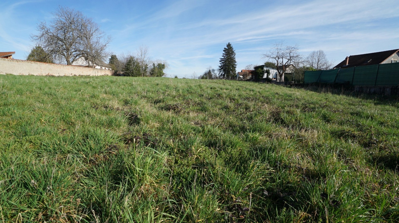 vente Terrain constructible Busset - Photo 5