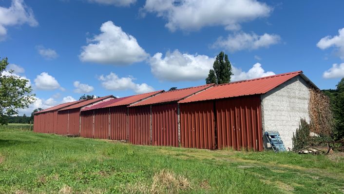 vente Garage Brugheas