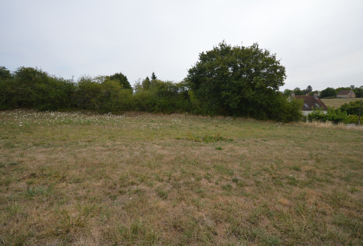 vente Terrain Brugheas - Photo 3