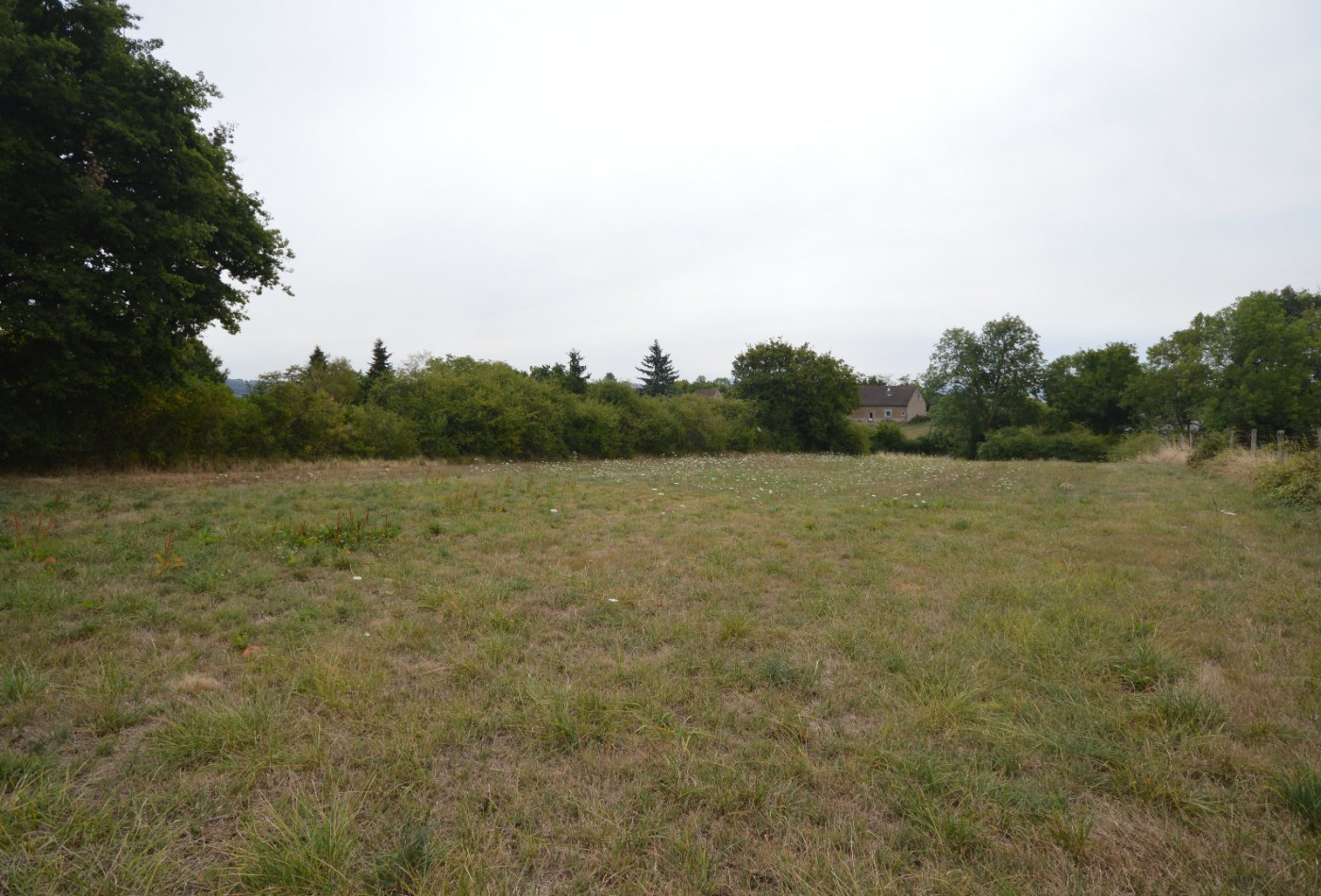 vente Terrain Brugheas - Photo 4