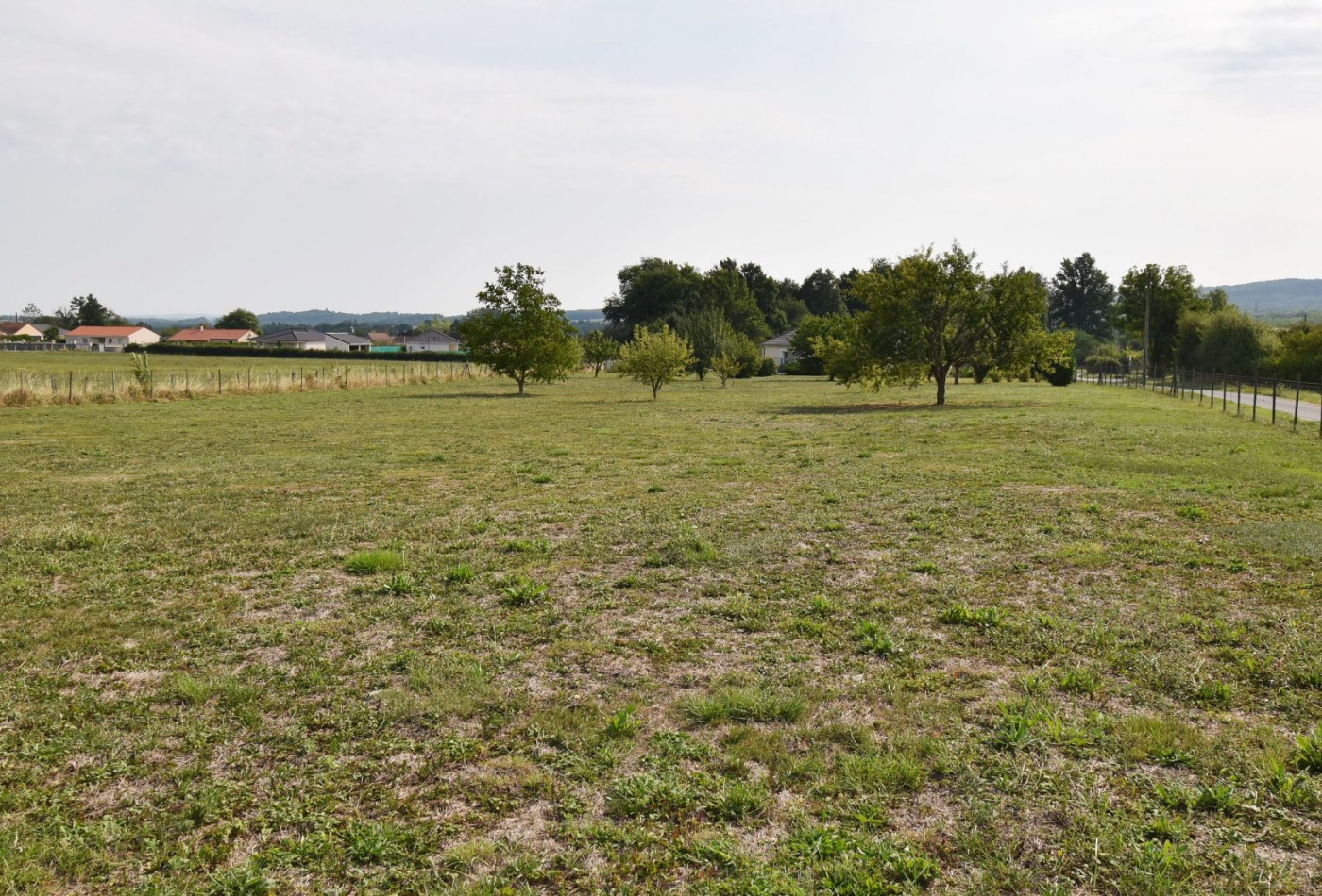 vente Terrain Creuzier Le Neuf - Photo 4