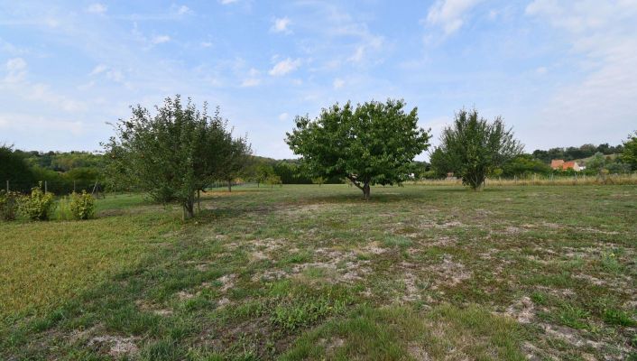 vente Terrain Creuzier Le Neuf