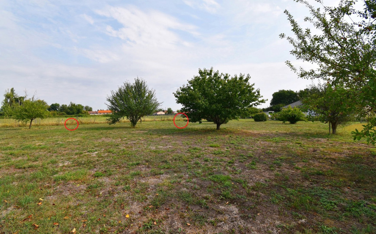 vente Terrain Creuzier Le Neuf - Photo 7