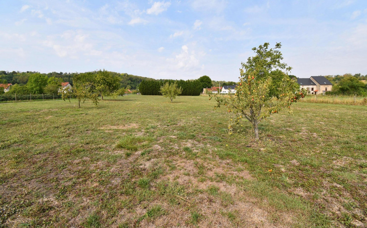 vente Terrain Creuzier Le Neuf - Photo 2