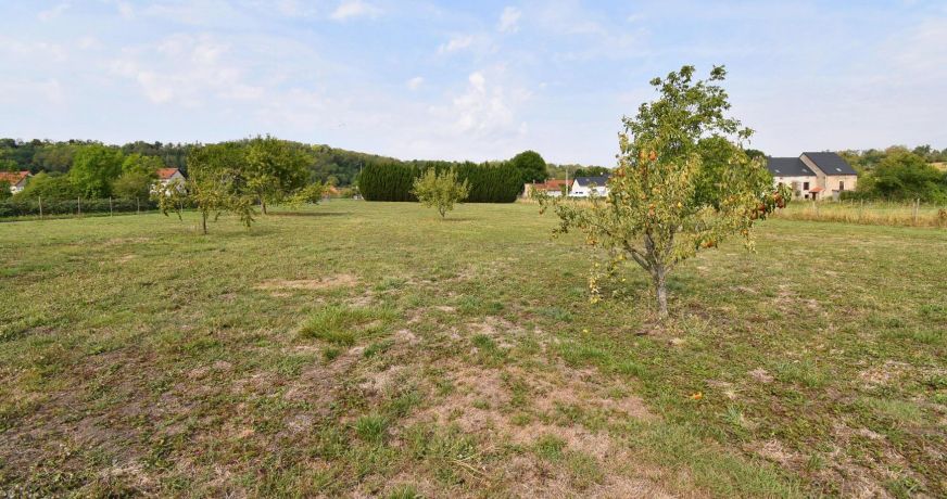 vente Terrain Creuzier Le Neuf