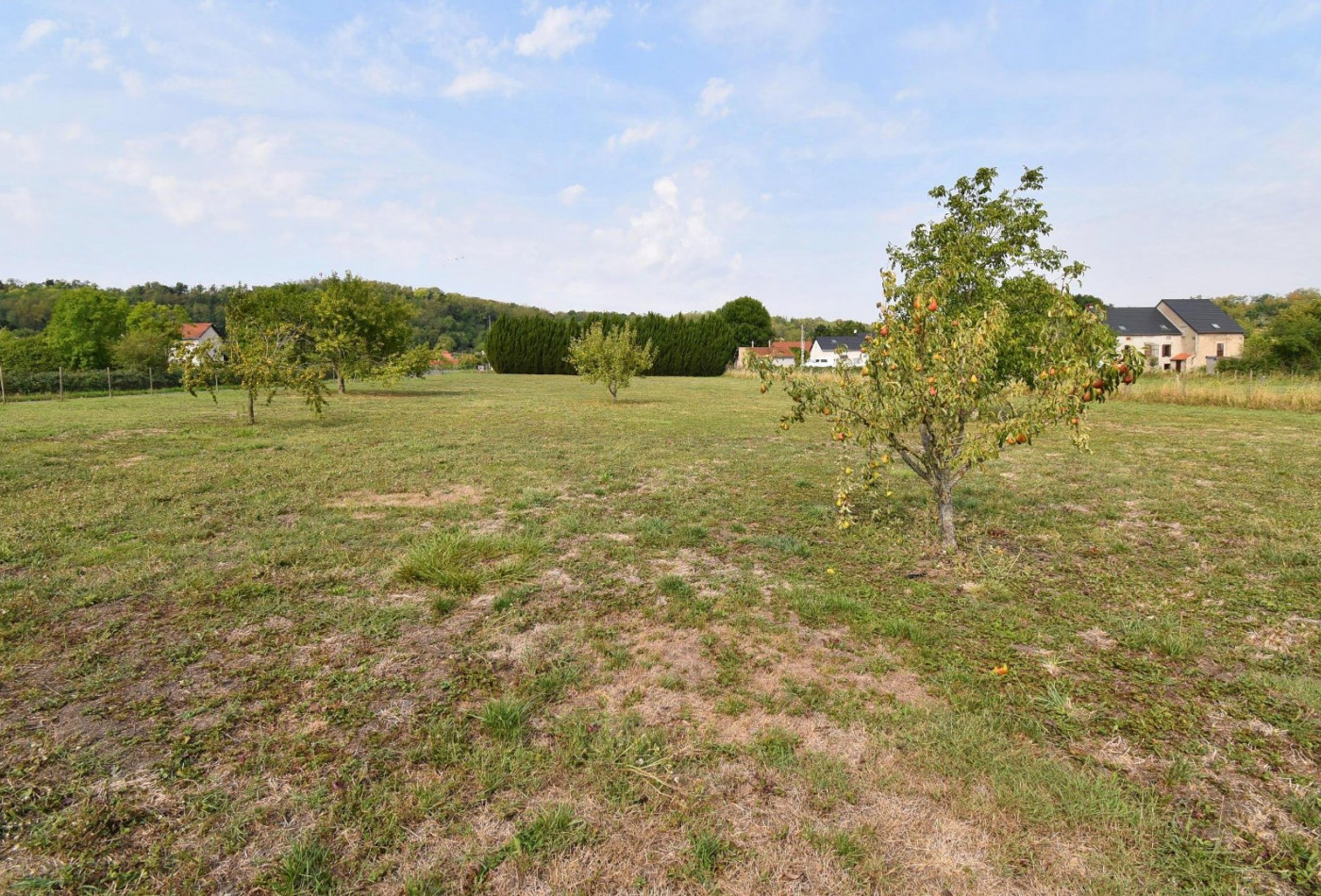 vente Terrain Creuzier Le Neuf - Photo 2