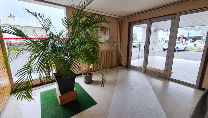vente Appartement Cusset