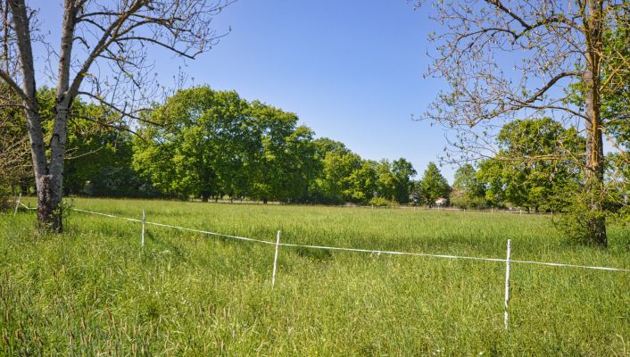 vente Terrain Abrest