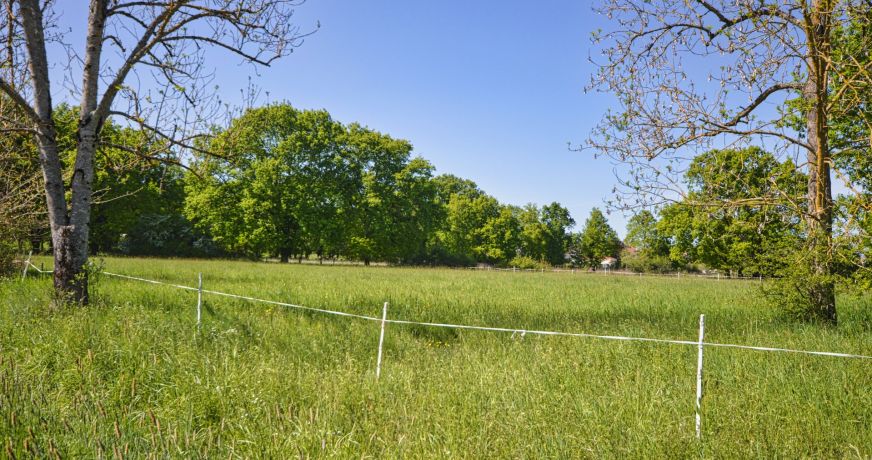 vente Terrain Abrest