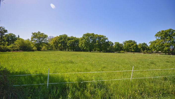 vente Terrain Abrest