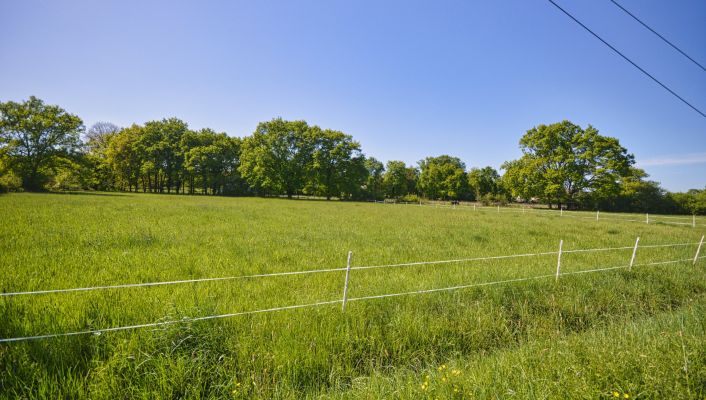 vente Terrain Abrest