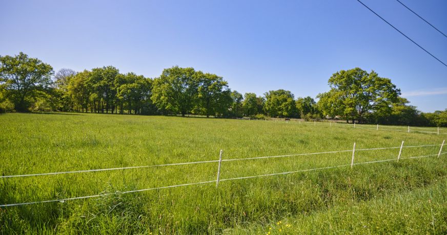 vente Terrain Abrest