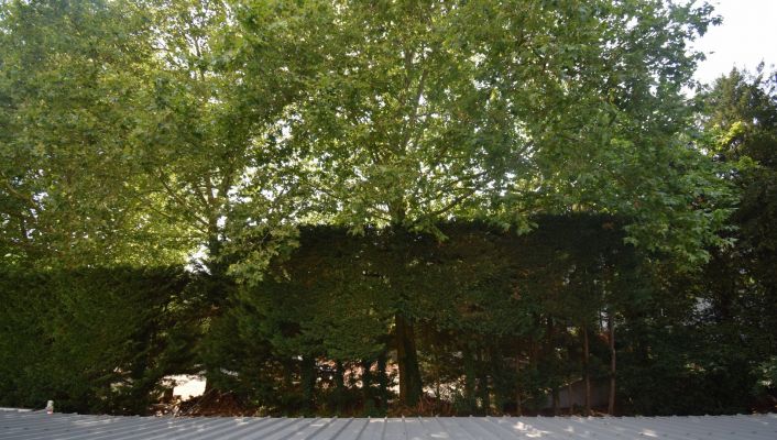 vente Appartement Vichy