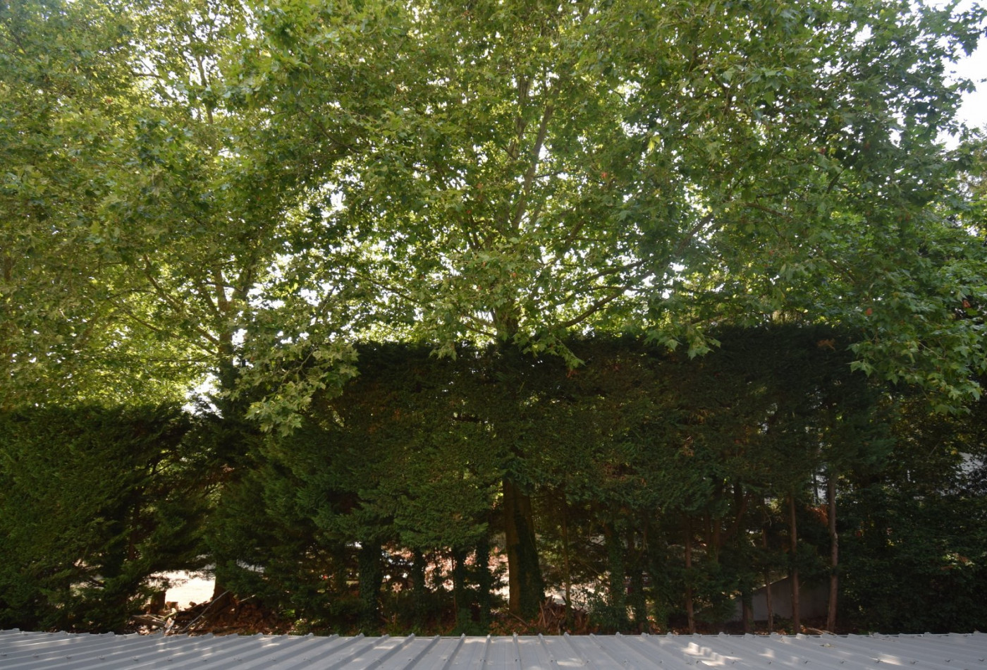vente Appartement Vichy - Photo 6