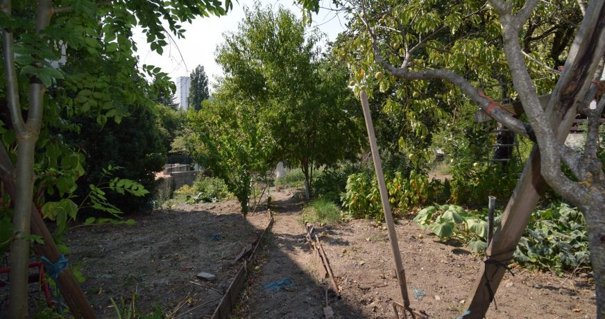 vente Terrain Vichy