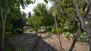 vente Terrain Vichy