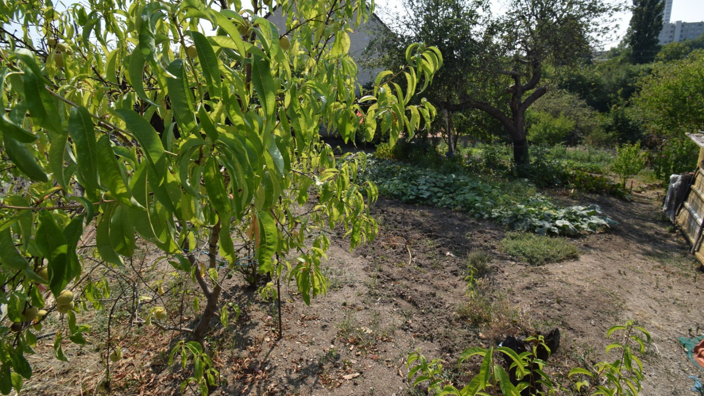vente Terrain Vichy - Photo 4