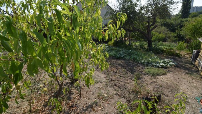 vente Terrain Vichy