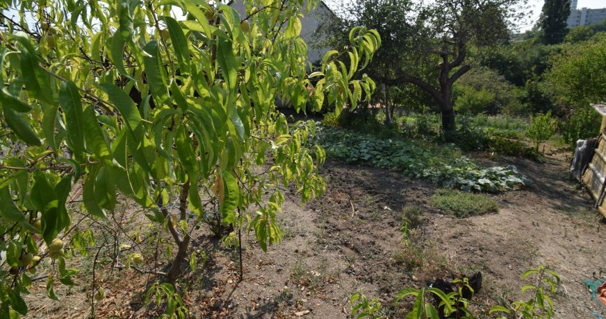 vente Terrain Vichy