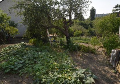vente Terrain Vichy