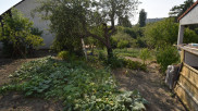 vente Terrain Vichy