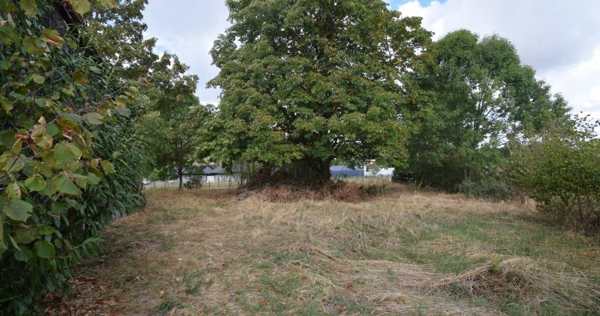 vente Grange Cusset