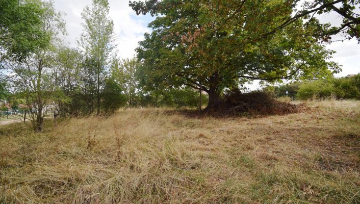vente Grange Cusset