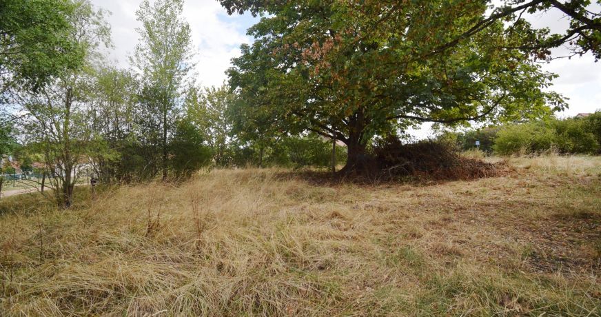 vente Grange Cusset