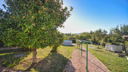 vente Maison Cusset