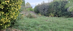 vente Maison Vichy
