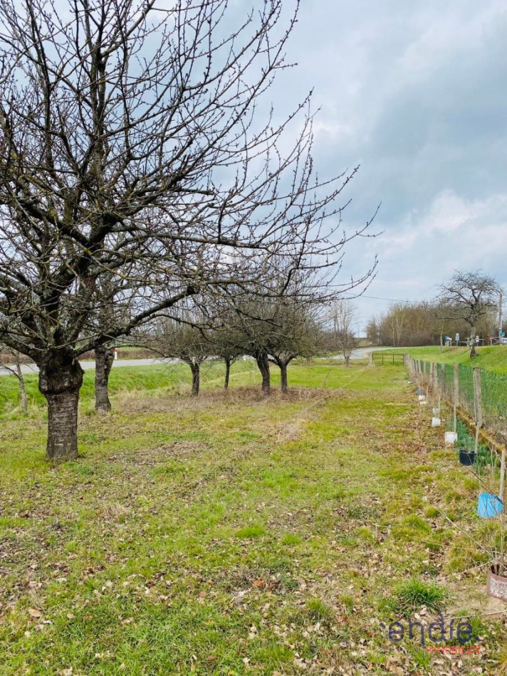 à vendre Maison Saint Aubin Sur Loire - Photo 11