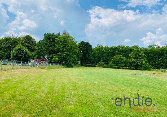 à vendre Longere Diou