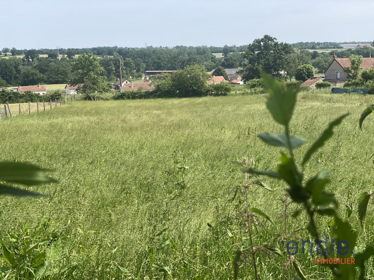 à vendre Maison Dompierre Sur Besbre - Photo 9