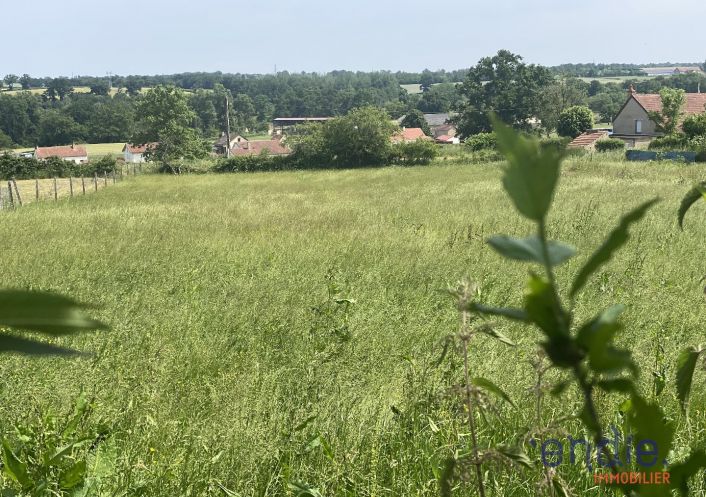 à vendre Maison Dompierre Sur Besbre