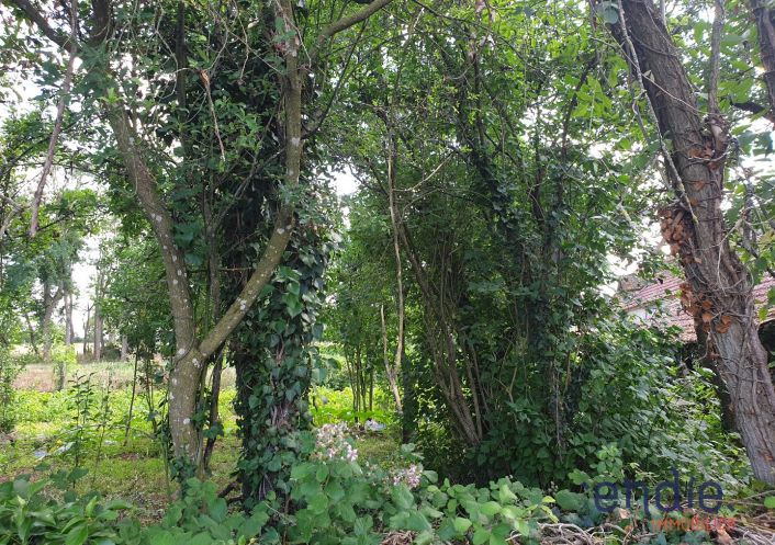 à vendre Longere Coust